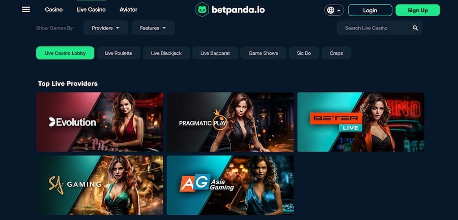 experiência de jogo online-betpanda-io